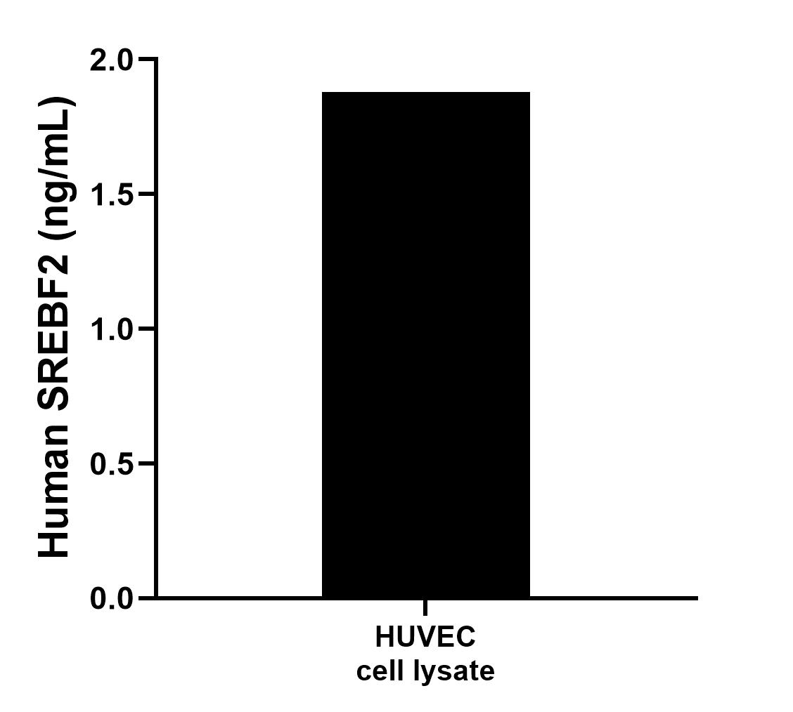 Sample test of MP00408-1